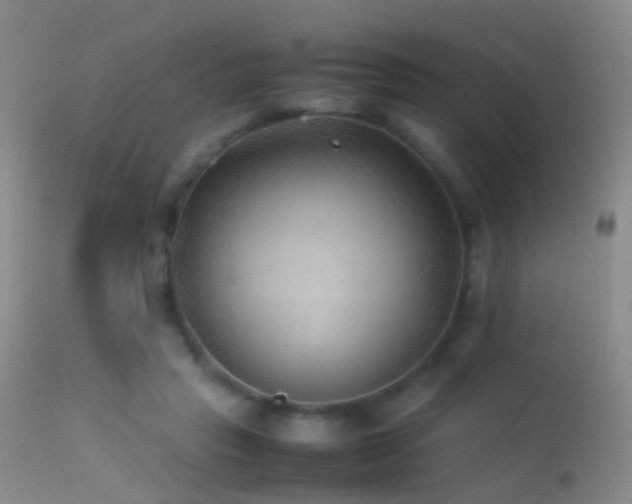 X0000113330453200909141431