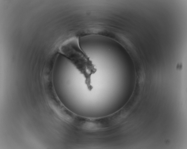 X0000113330455200909141431