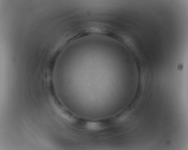 X0000113330457200909141431