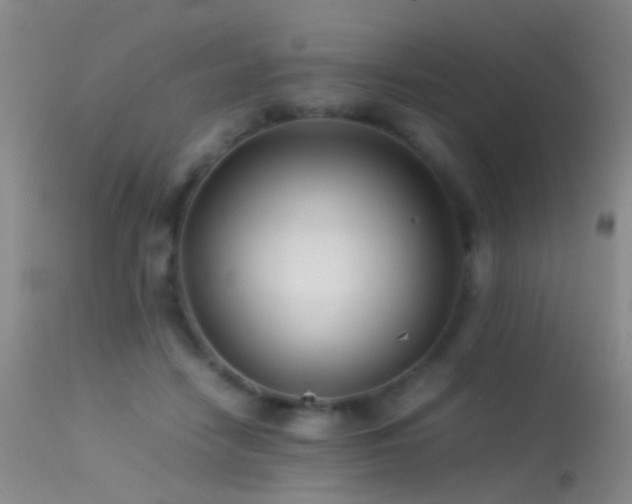 X0000113330458200909141431