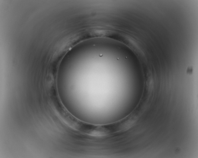 X0000113330459200909141431
