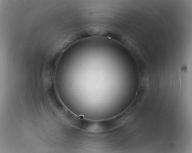 X0000113330460200909141431