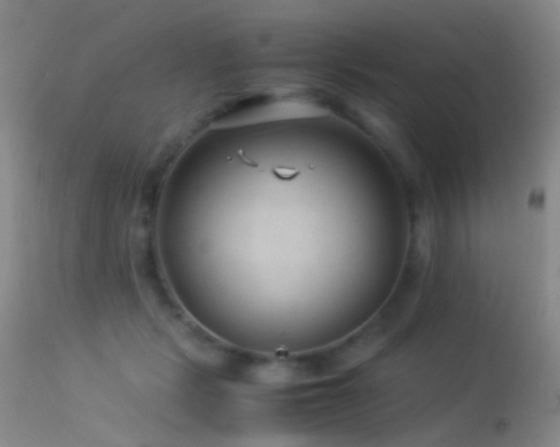 X0000113330461200909141431