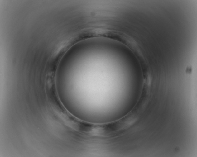 X0000113330462200909141431