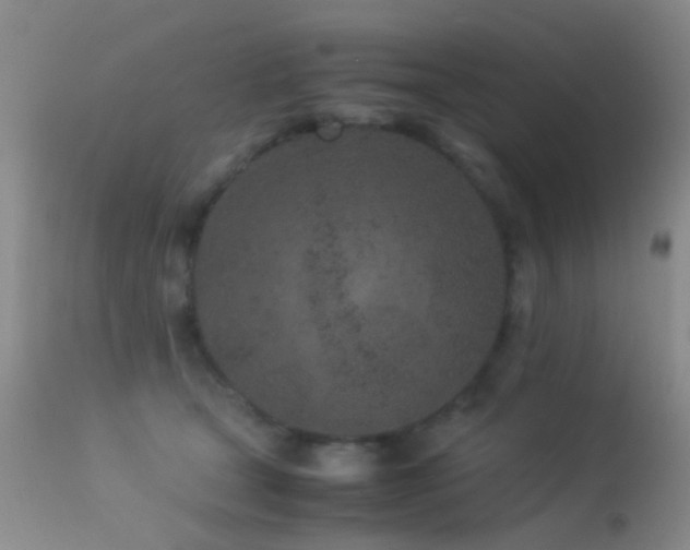 X0000113330465200909141431