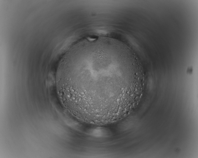 X0000113330467200909141431