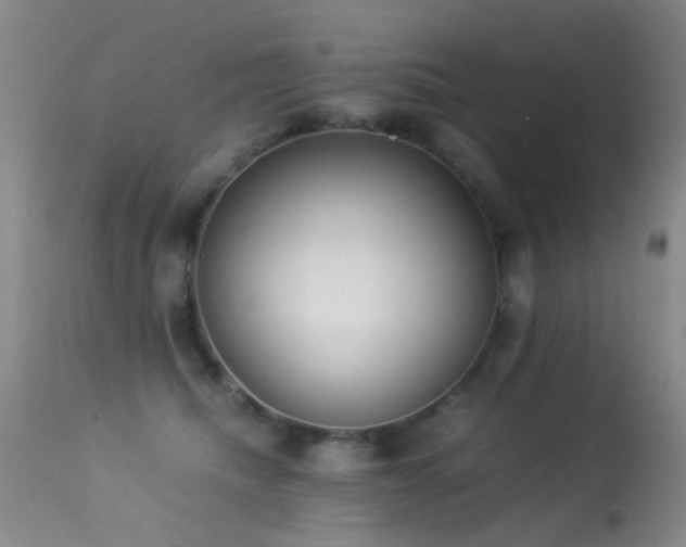 X0000113330468200909141431