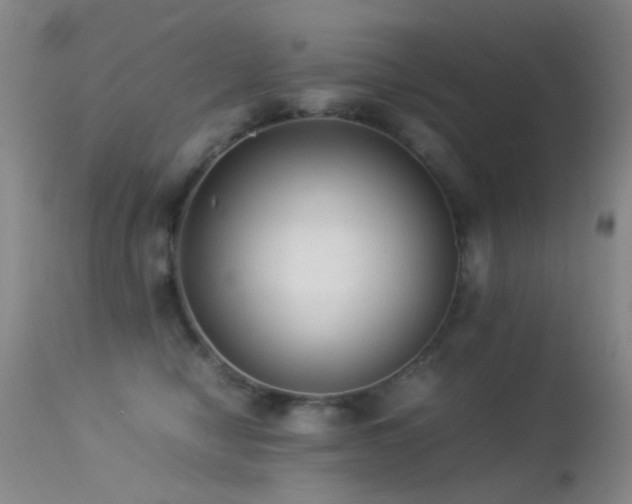 X0000113330470200909141431