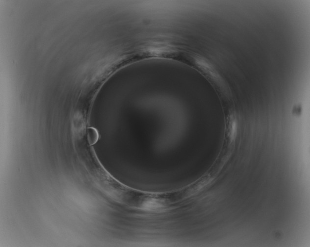 X0000113330471200909141431