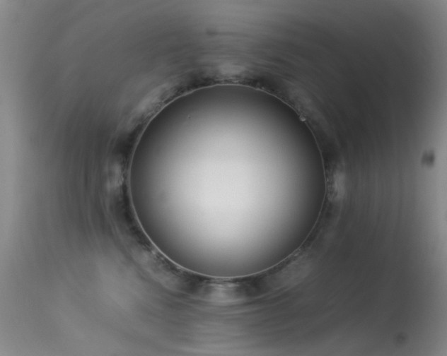 X0000113330472200909141431