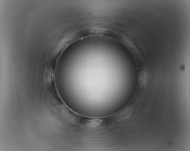 X0000113330474200909141431