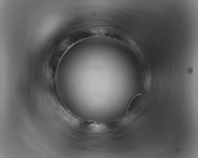 X0000113330477200909141431