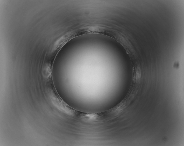 X0000113330478200909141431
