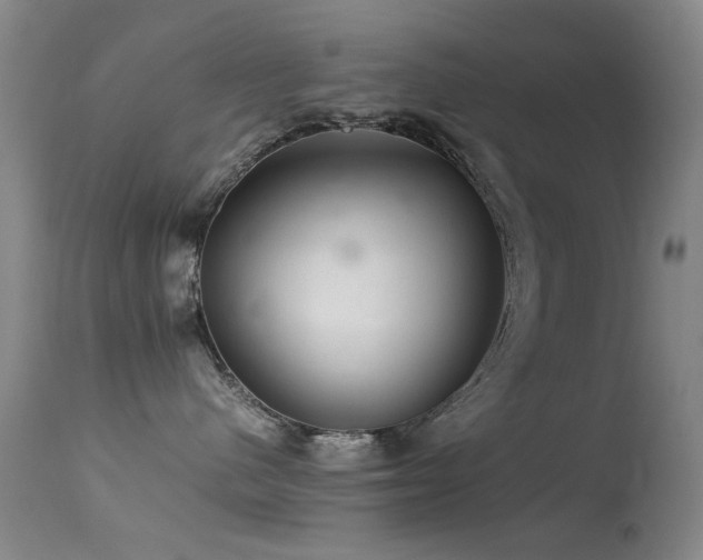 X0000113330480200909141431