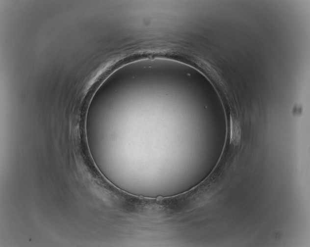 X0000113330483200909141430