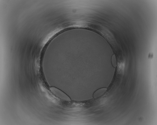 X0000113330484200909141430
