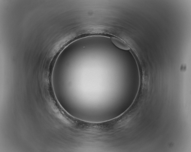 X0000113330485200909141430