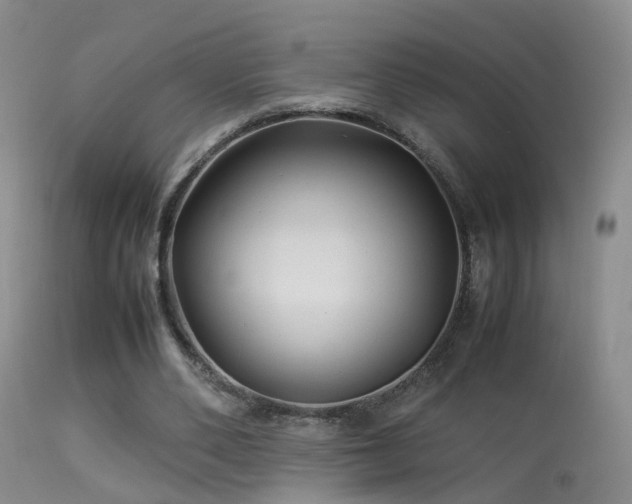 X0000113330486200909141430