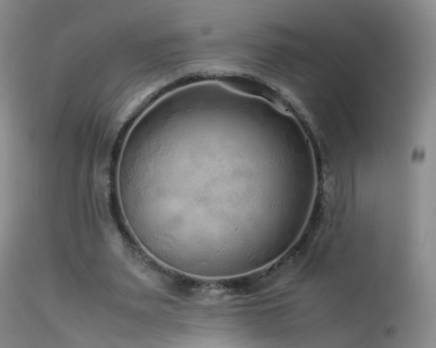 X0000113330487200909141430