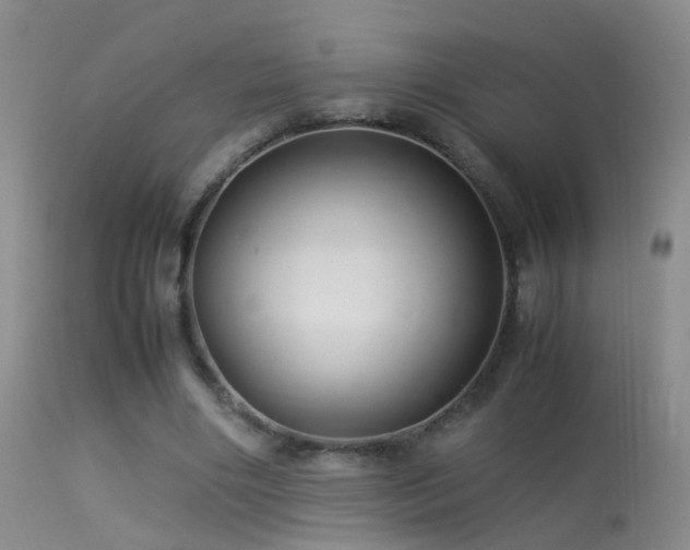 X0000113330490200909141430