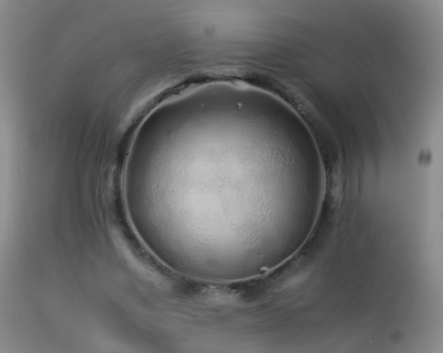 X0000113330491200909141430