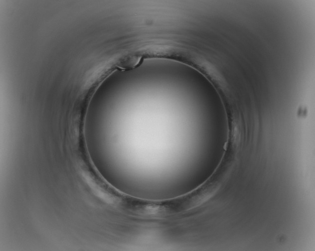 X0000113330493200909141430