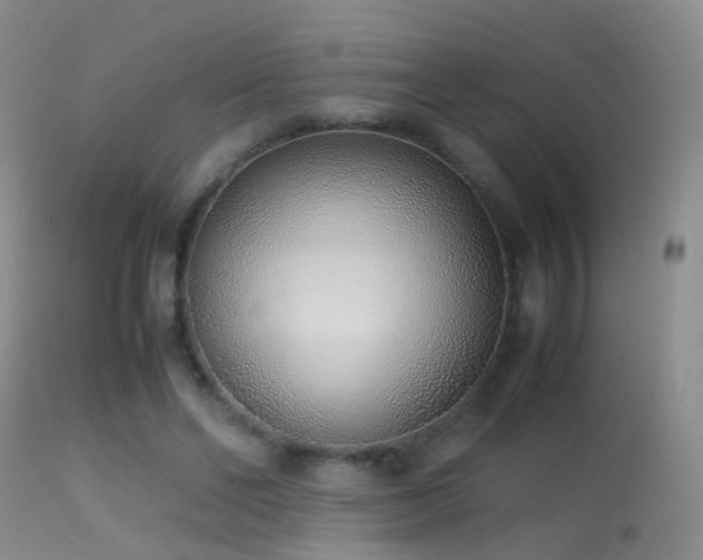 X0000113330494200909141430