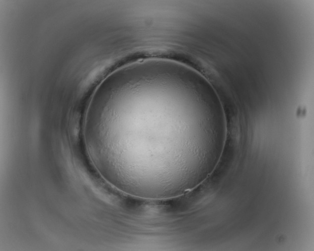 X0000113330495200909141430