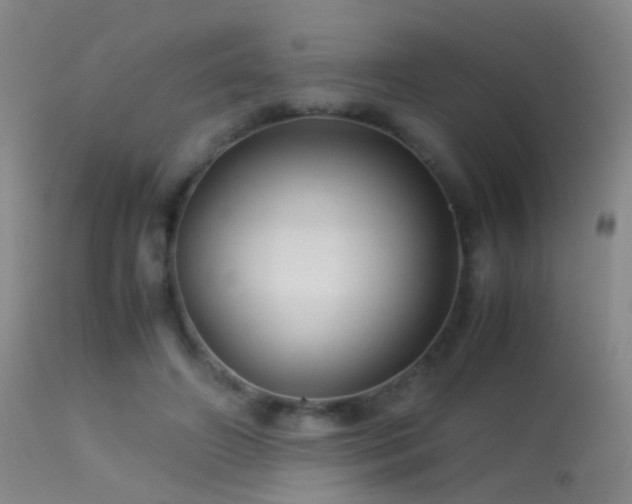 X0000113330498200909141430