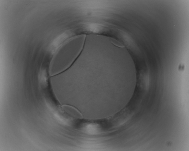 X0000113330500200909141430