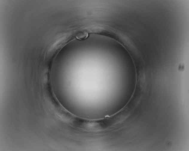 X0000113330501200909141430