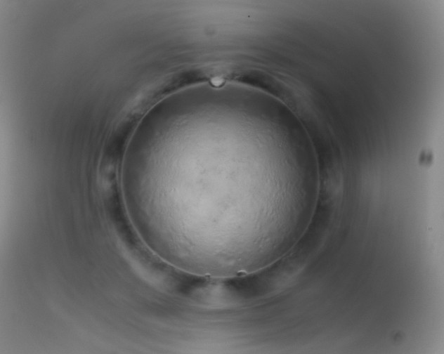 X0000113330503200909141430
