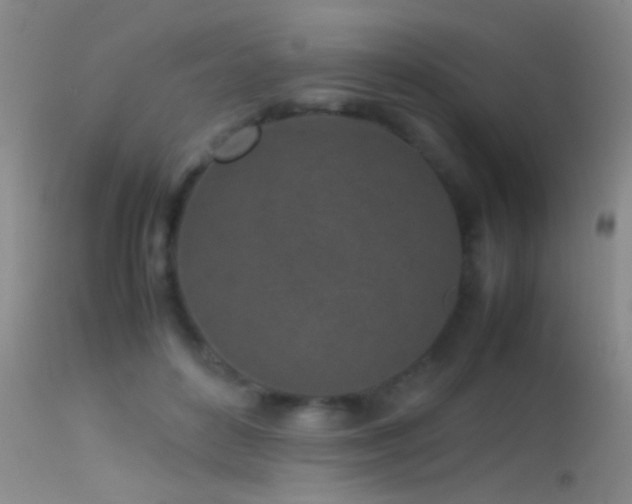 X0000113330504200909141430