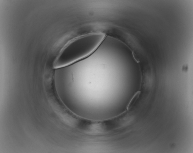 X0000113330505200909141430