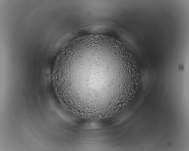 X0000113330506200909141430