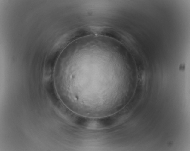 X0000113330507200909141430