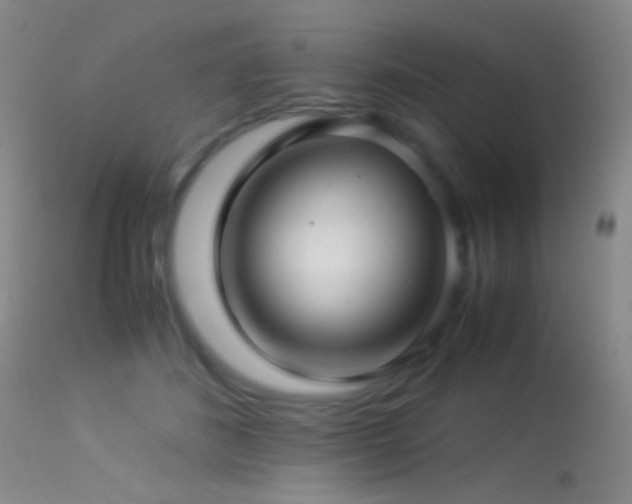 X0000113330508200909141430