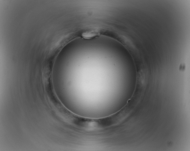 X0000113330509200909141430
