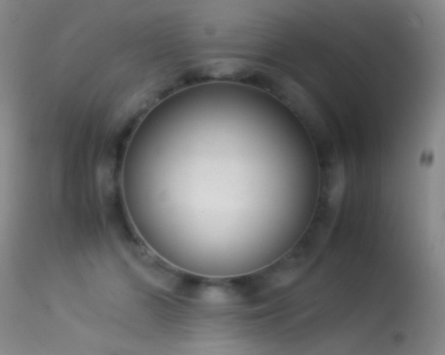 X0000113330510200909141430