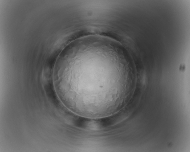 X0000113330511200909141430