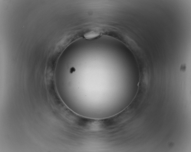 X0000113330513200909141430