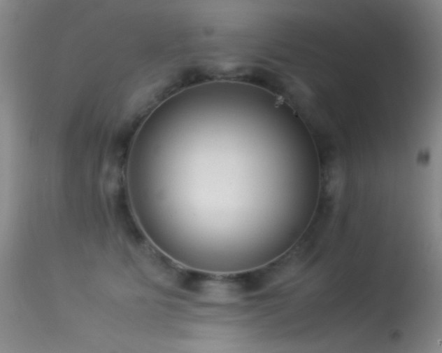 X0000113330515200909141430