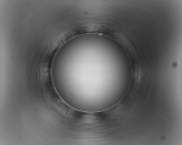 X0000113330516200909141430