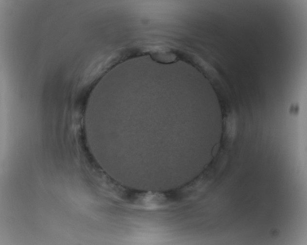X0000113330517200909141430