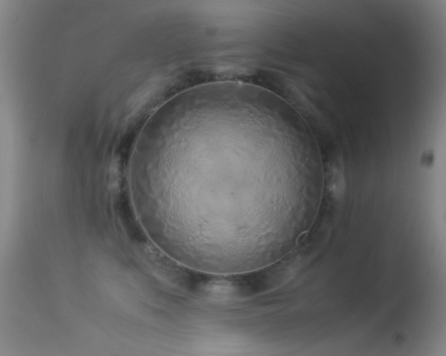 X0000113330519200909141430