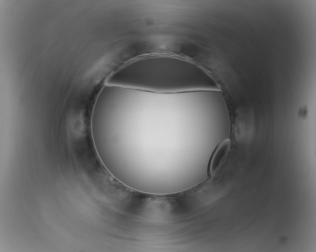 X0000113330520200909141430