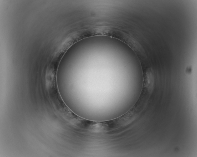 X0000113330522200909141430