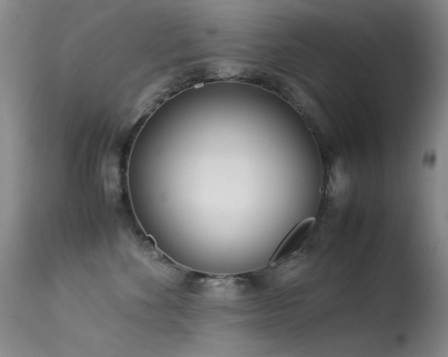 X0000113330524200909141430