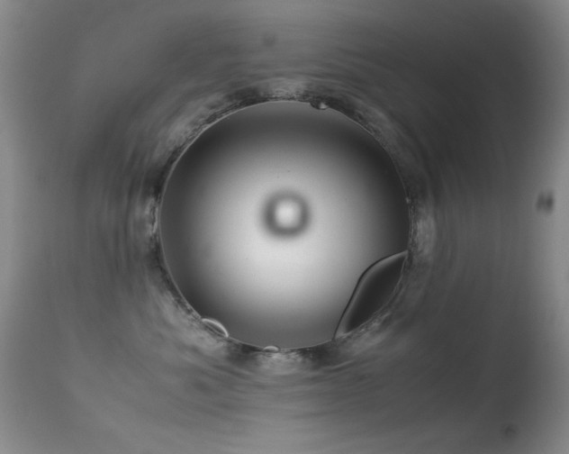 X0000113330525200909141430