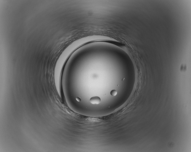 X0000113330528200909141430